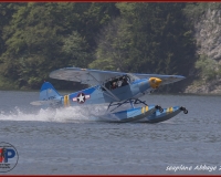 TSR Watermark - 0250